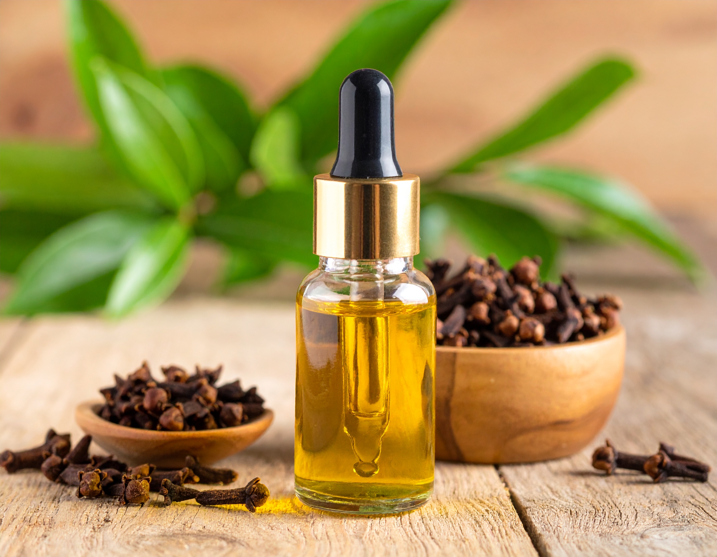 Clove Leaf Oil